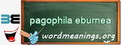 WordMeaning blackboard for pagophila eburnea